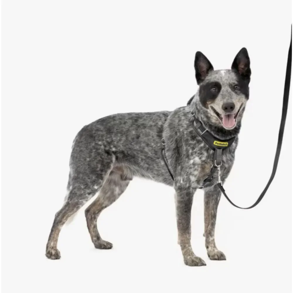 PetSafe Easy Walk Comfort Reflective No Pull Dog Harness Black M/L 24-34